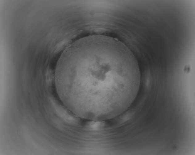 X0000114650135200910201516