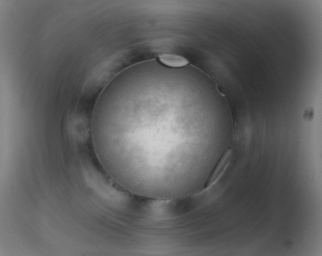 X0000114650136200910201516