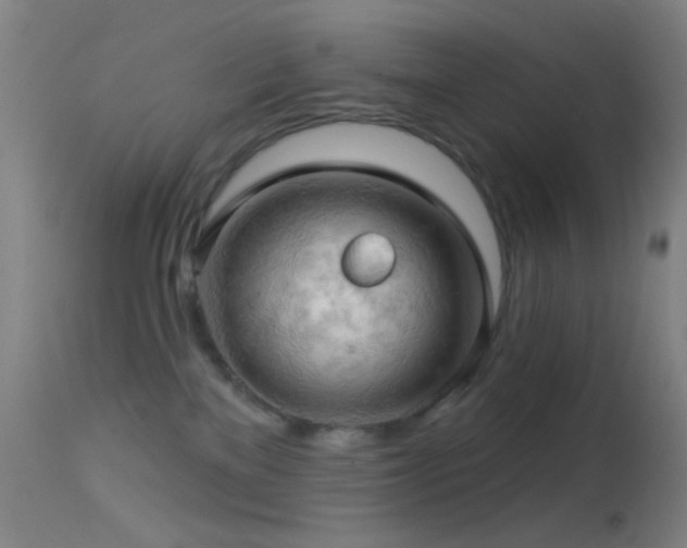 X0000114650137200910201516