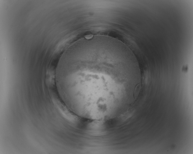 X0000114650138200910201516