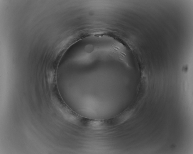 X0000114650139200910201516