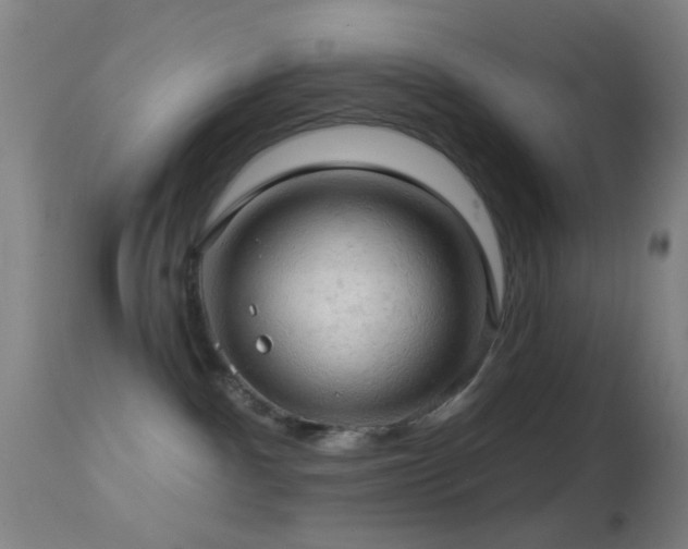 X0000114650140200910201516