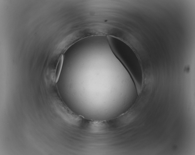 X0000114650141200910201516