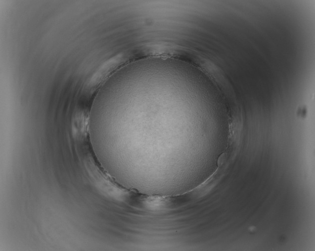 X0000114650142200910201516