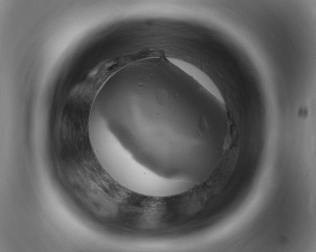 X0000114650143200910201516