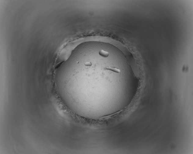 X0000114650144200910201516