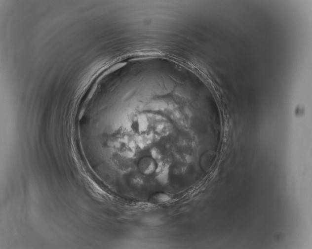 X0000114650145200910201516