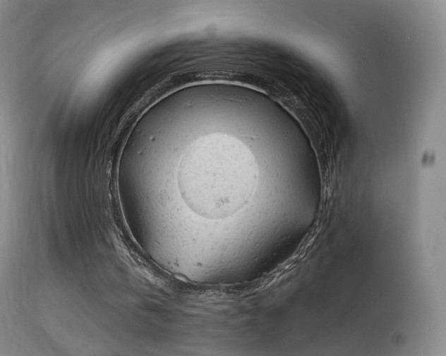 X0000114650146200910201516