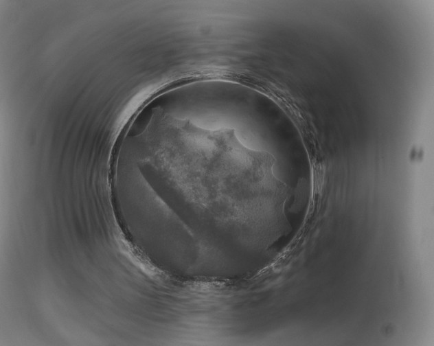 X0000114650147200910201516