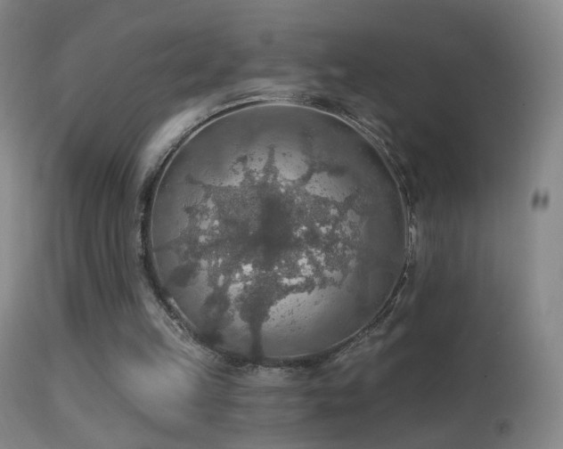 X0000114650149200910201516