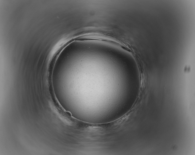 X0000114650150200910201516