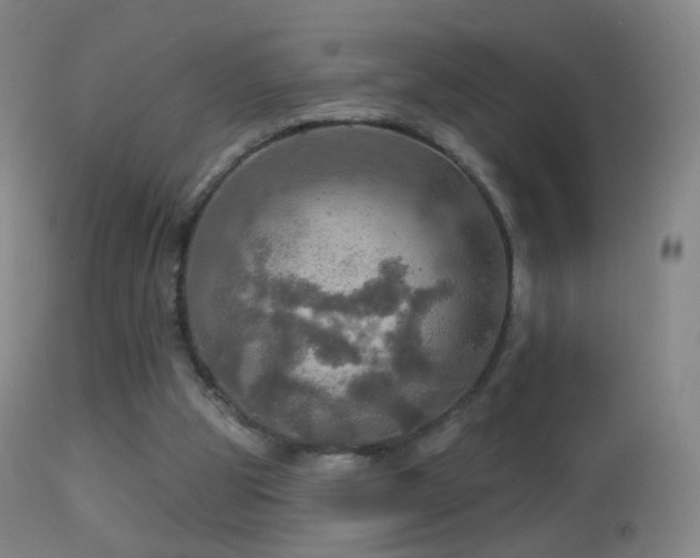 X0000114650153200910201516