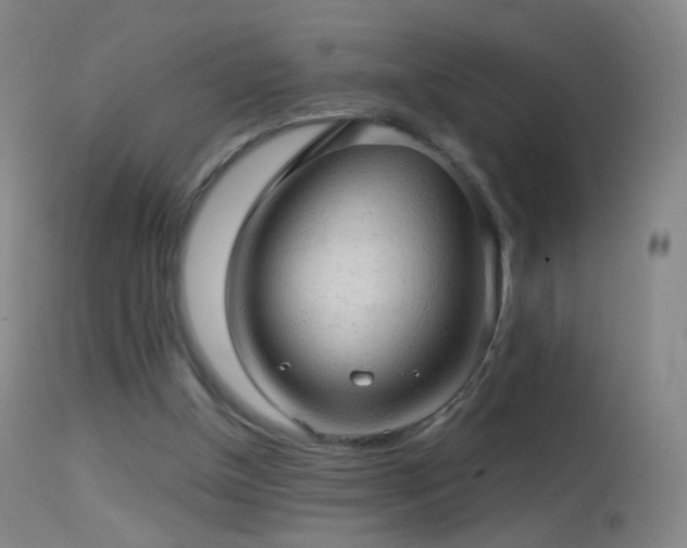 X0000114650154200910201516