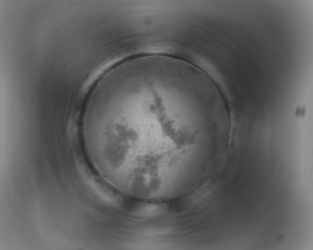 X0000114650155200910201516