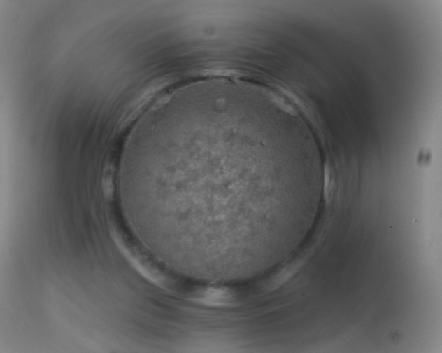 X0000114650157200910201516