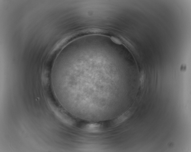 X0000114650158200910201516