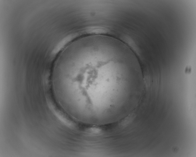 X0000114650159200910201516