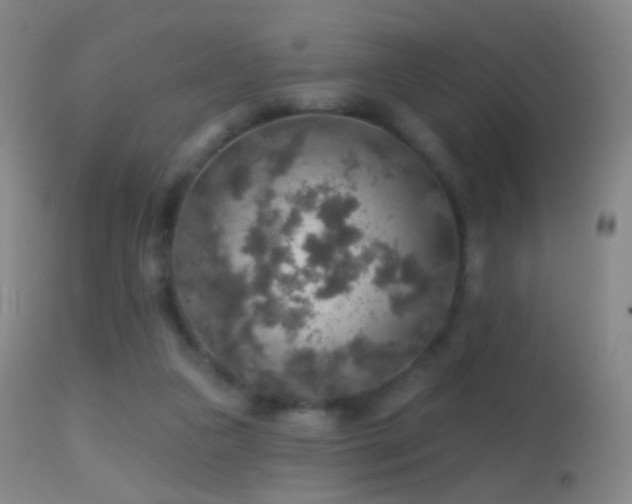 X0000114650161200910201516