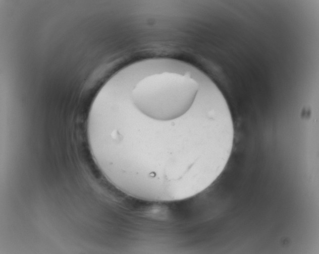 X0000114650162200910201516