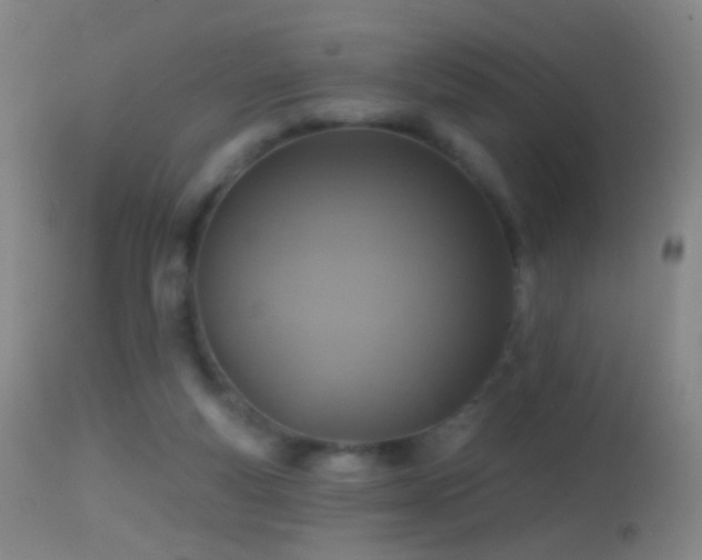 X0000114650163200910201516