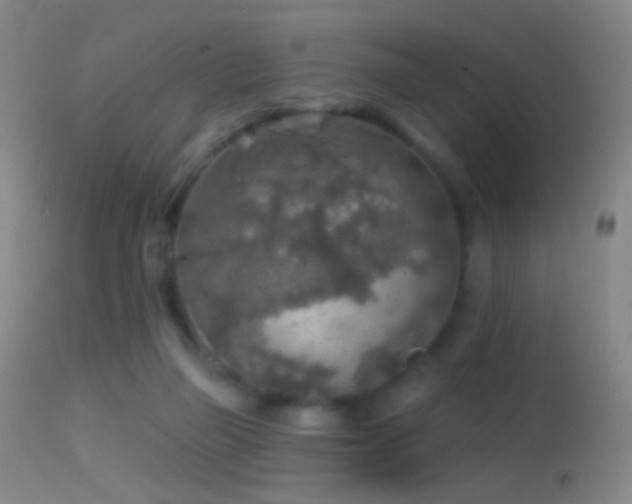 X0000114650165200910201516