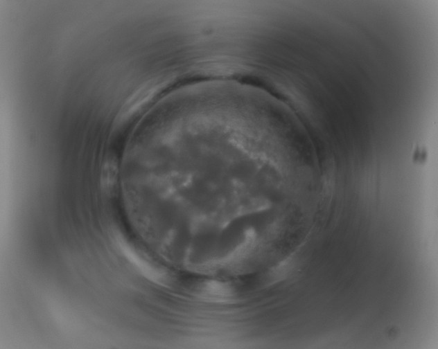 X0000114650166200910201516