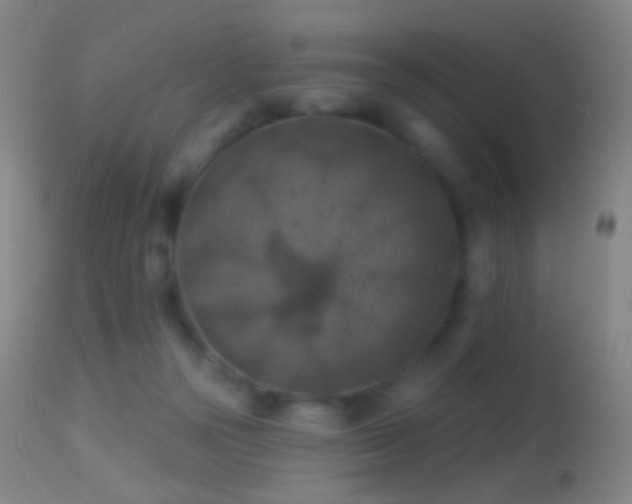 X0000114650169200910201516