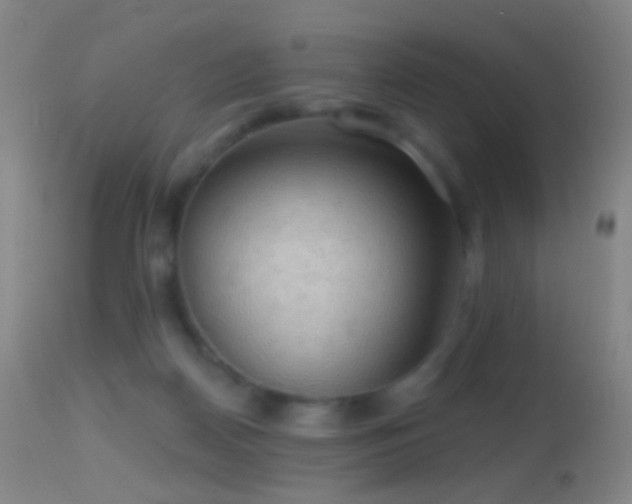 X0000114650170200910201516