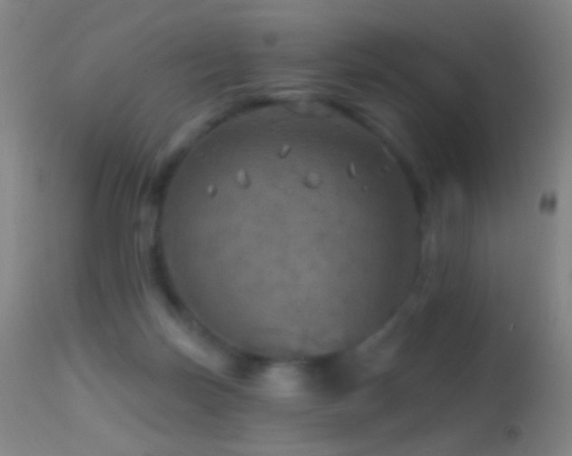 X0000114650171200910201516