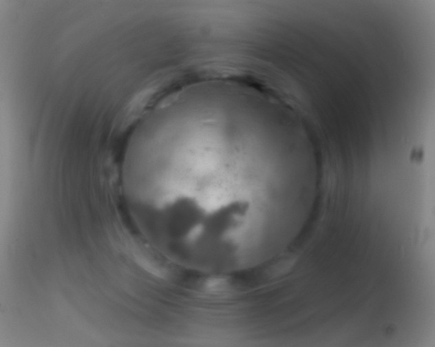 X0000114650173200910201516