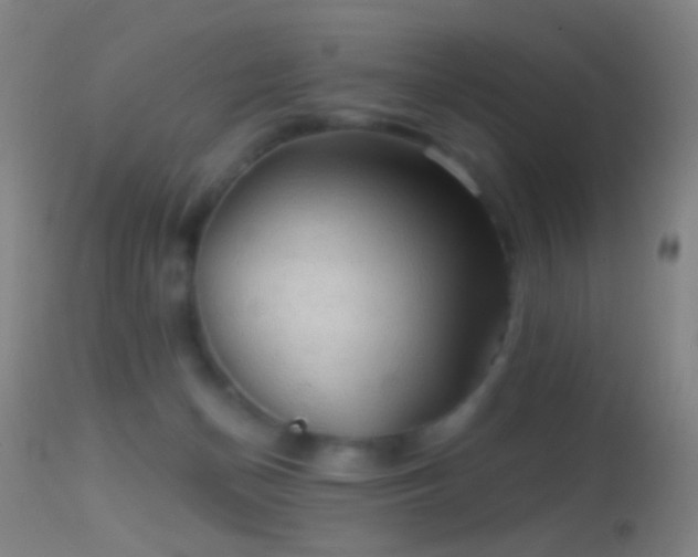 X0000114650174200910201516