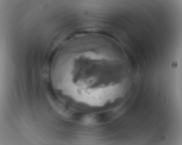 X0000114650175200910201516