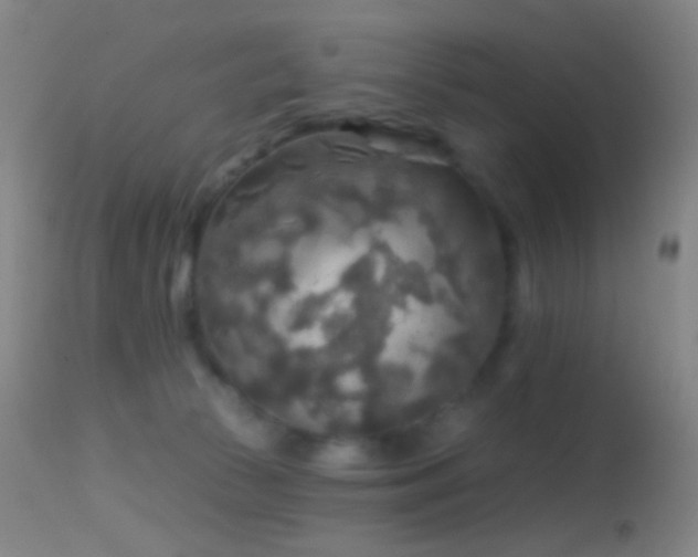 X0000114650177200910201516