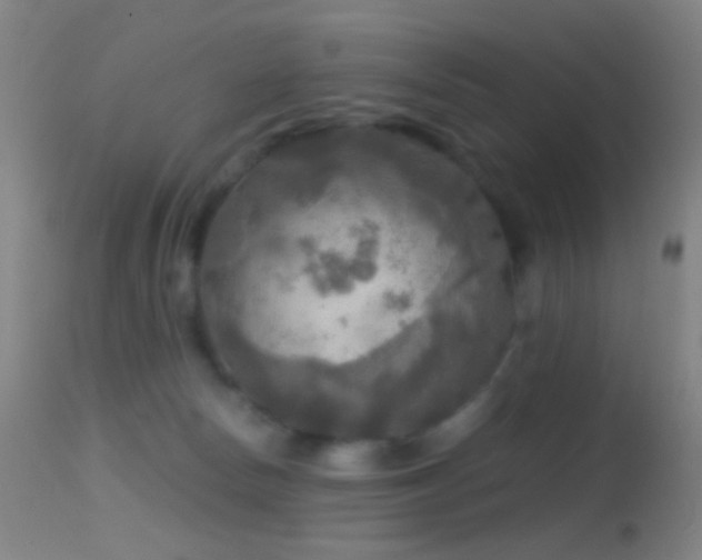 X0000114650178200910201516