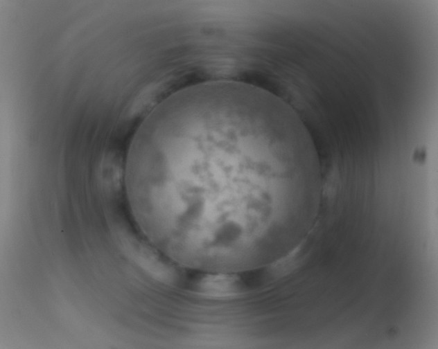 X0000114650179200910201516