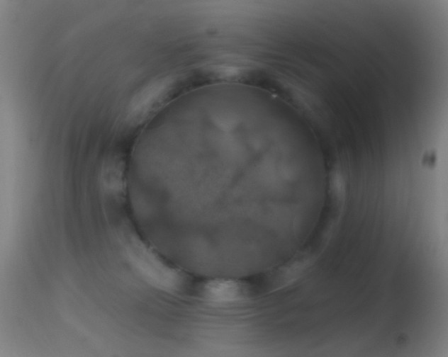 X0000114650181200910201516