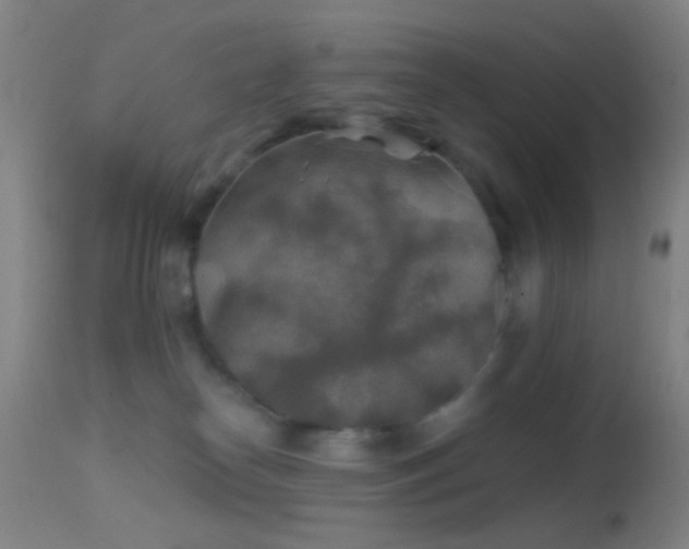 X0000114650182200910201516