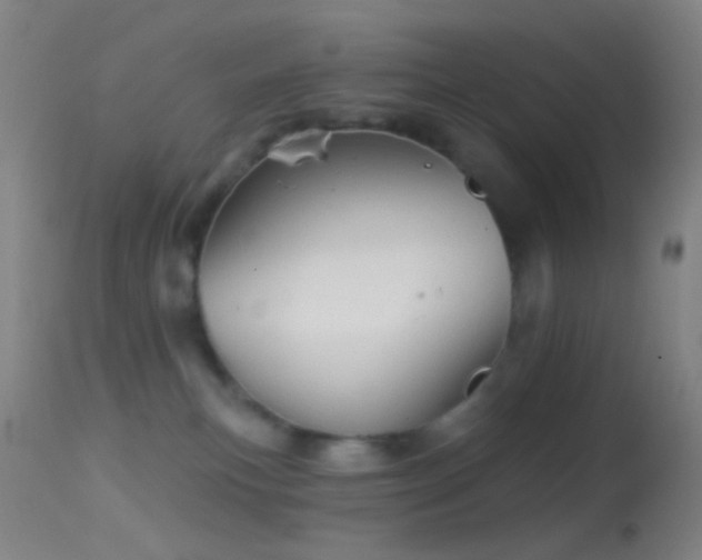 X0000114650183200910201516