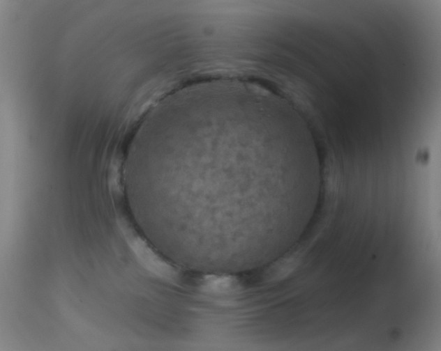 X0000114650185200910201516