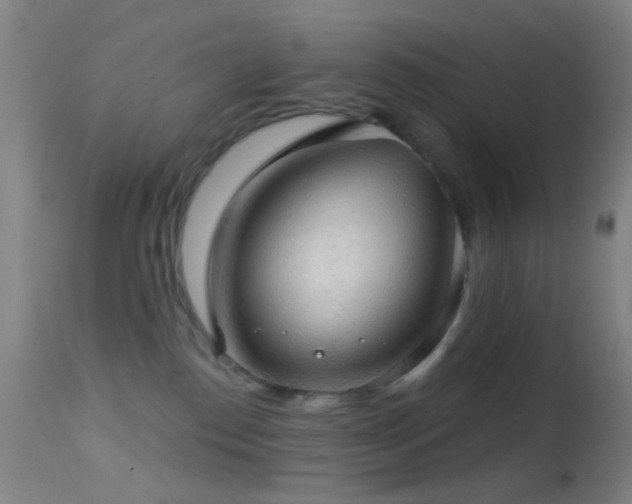 X0000114650186200910201516