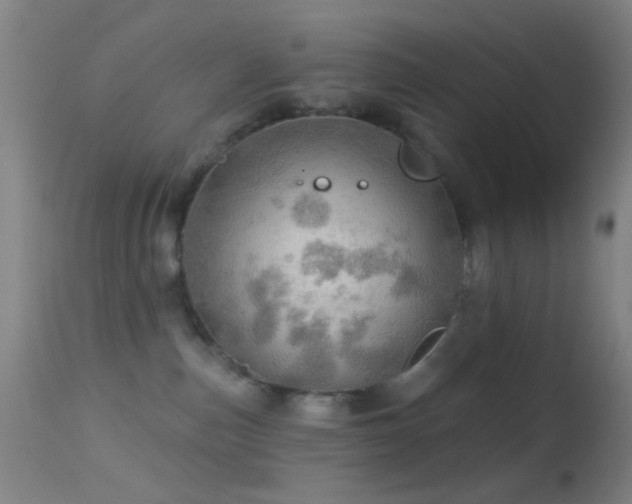 X0000114650187200910201516