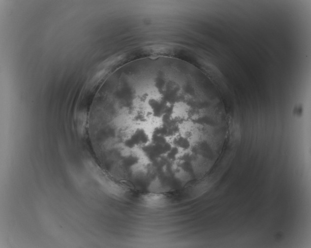 X0000114650189200910201516