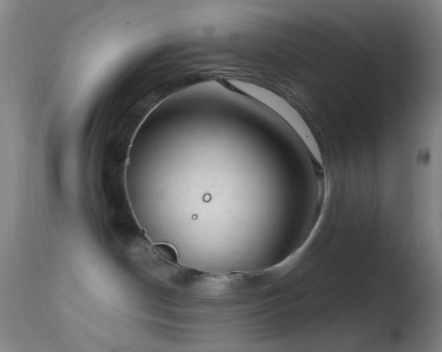 X0000114650190200910201516