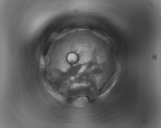 X0000114650191200910201516