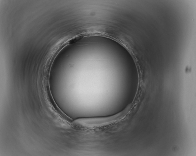 X0000114650193200910201516