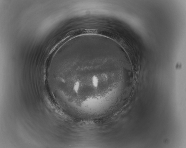 X0000114650194200910201516