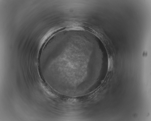 X0000114650195200910201516