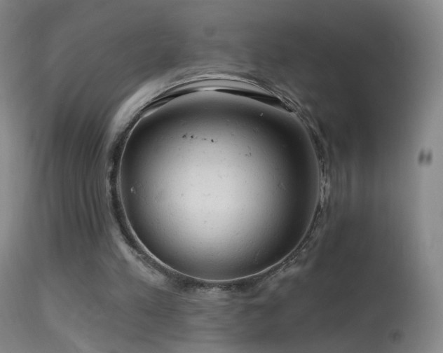 X0000114650197200910201516