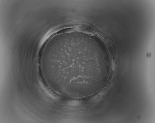 X0000114650198200910201516