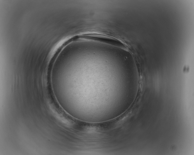 X0000114650200200910201516